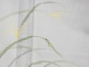 アンティーク　駒絽草葉に蛍模様着物